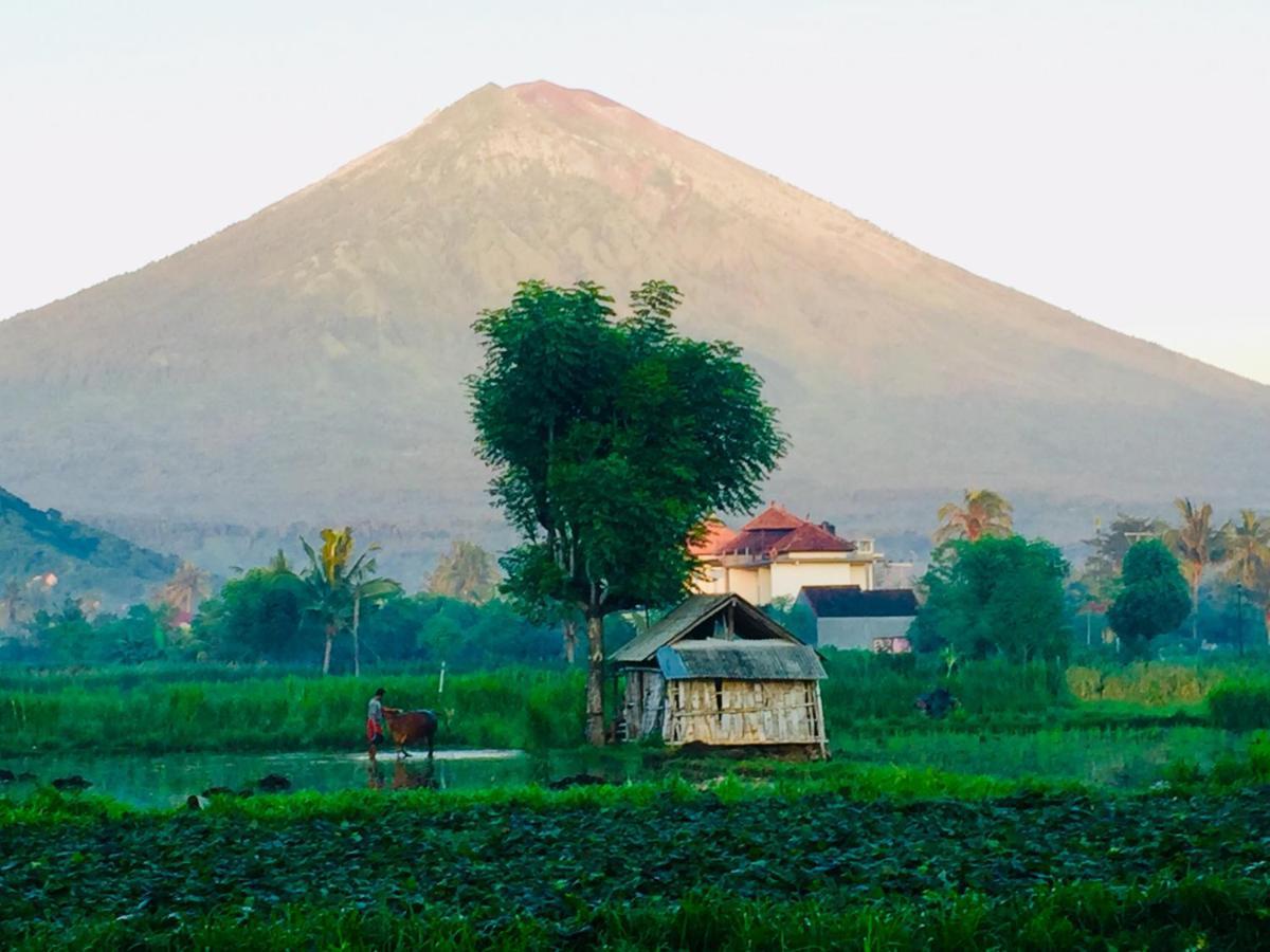 D'Uma Amed Homestay Exteriör bild