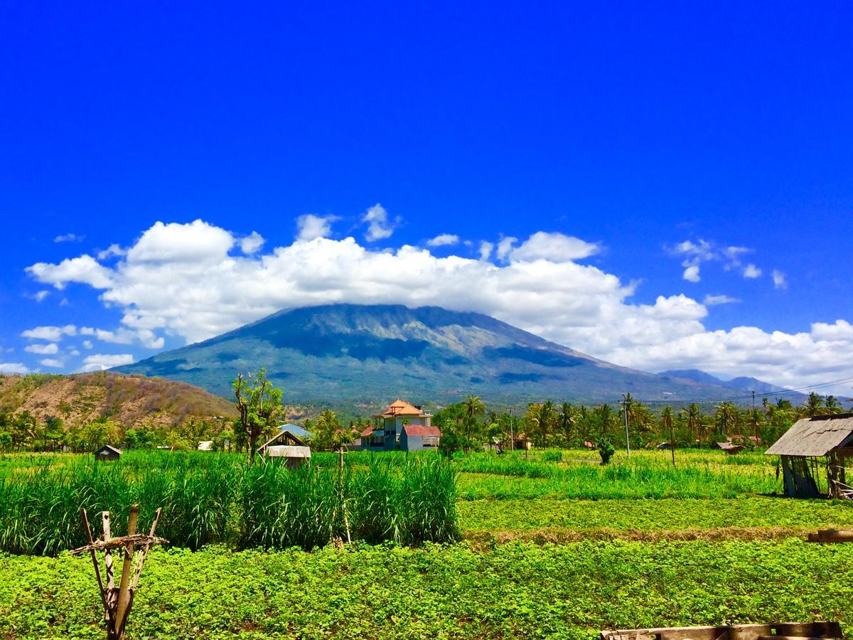 D'Uma Amed Homestay Exteriör bild