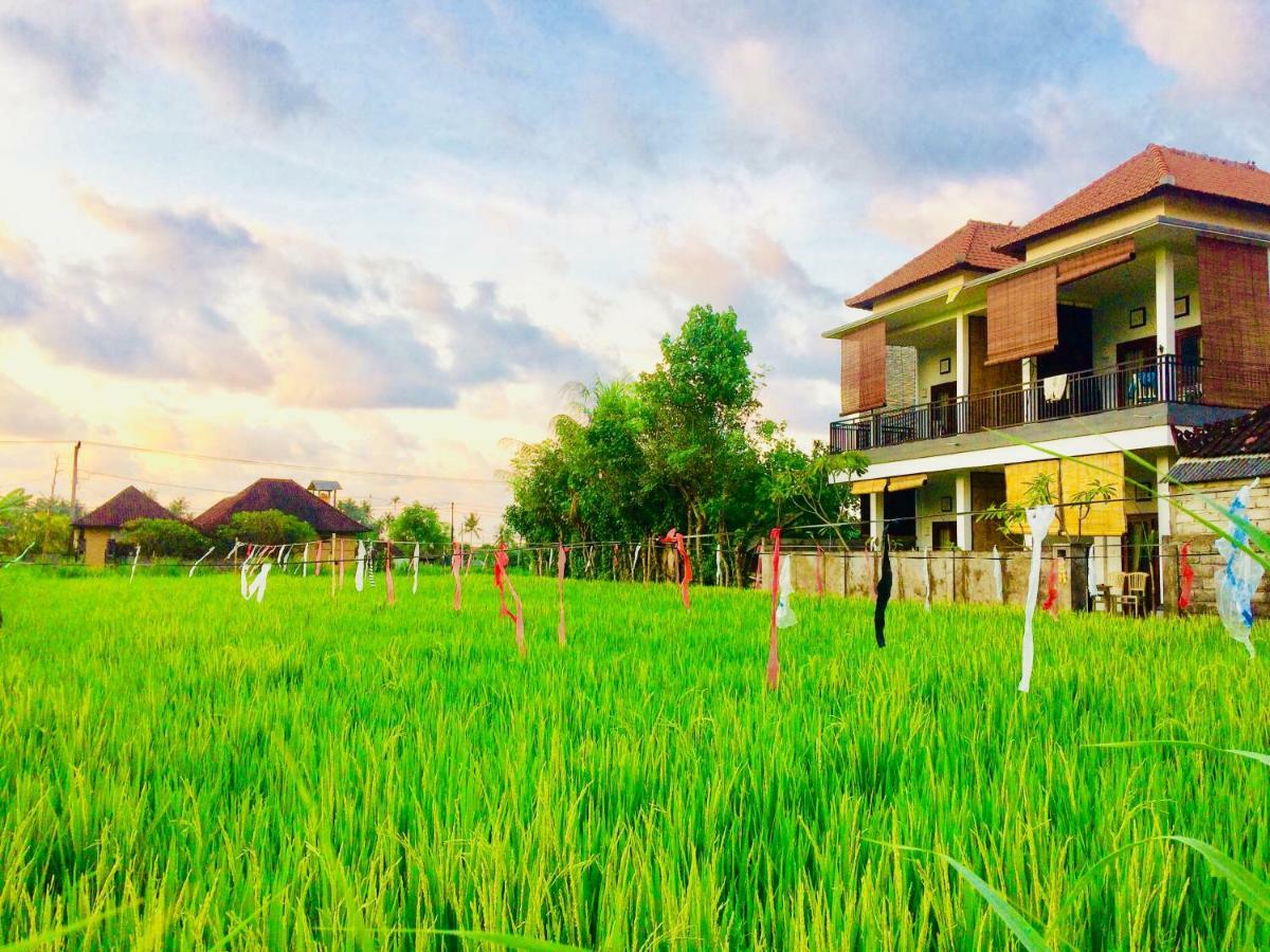 D'Uma Amed Homestay Exteriör bild